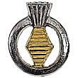 Star Trek Master Chief Petty Officer Rank Pin